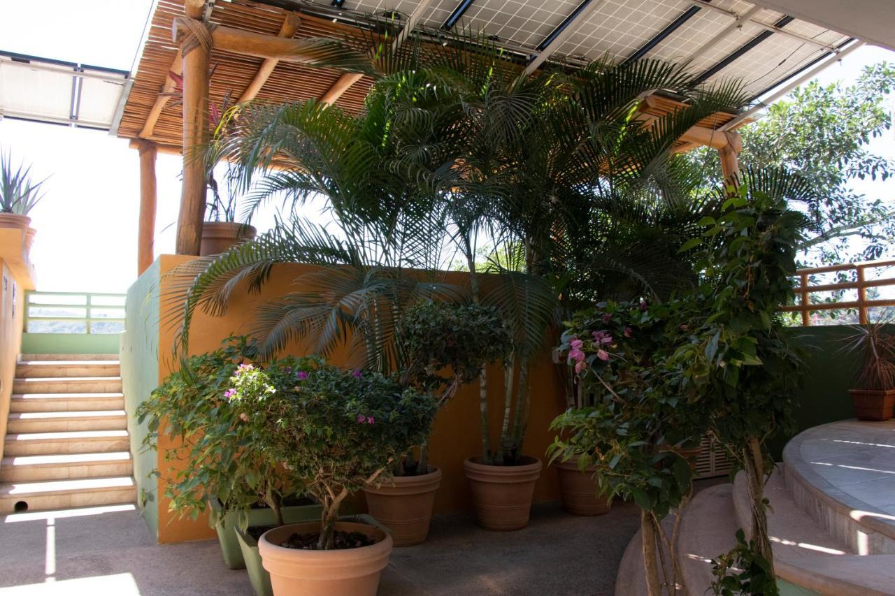 Mboutique Hotel Sayulita Zewnętrze zdjęcie